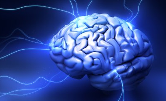 Supplements: Christene Patty