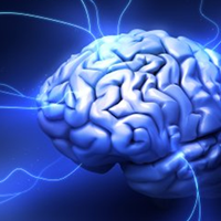 Портфолио Christene Patty